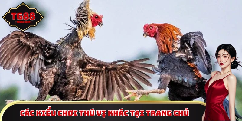 Các kiểu chơi thú vị khác tại trang chủ