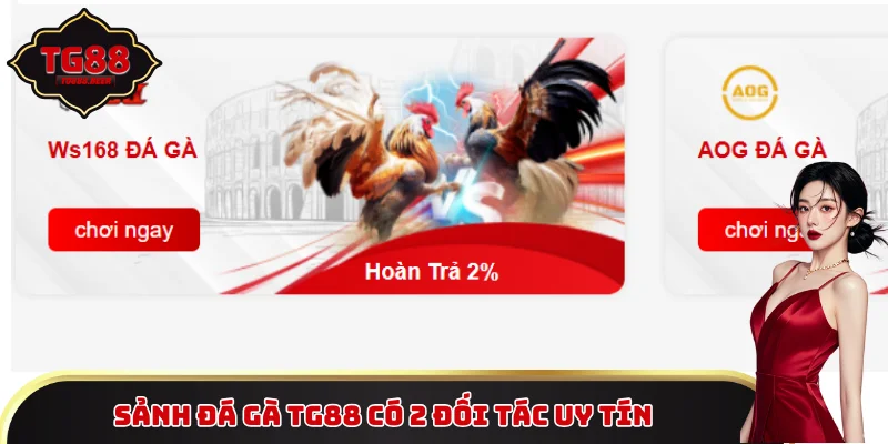 Sảnh đá gà TG88 có 2 đối tác uy tín